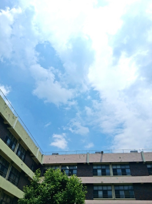 [포토] 비온 후 맑아졌던 그날, 영화 '날씨의 아이' 떠올라 이미지