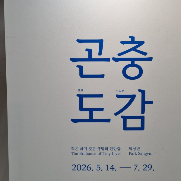 서울 도심 속 거대 곤충들의 향연: 박상빈 작가 '곤충도감' 전시회 후기 이미지